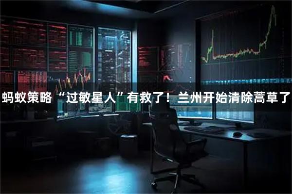 蚂蚁策略 “过敏星人”有救了！兰州开始清除蒿草了